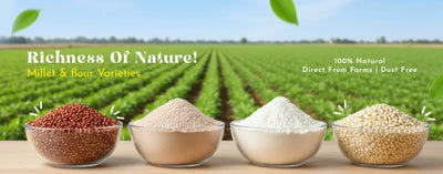 Which Millet Should Beginners Start With?