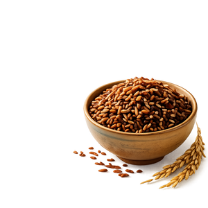RICE HUB