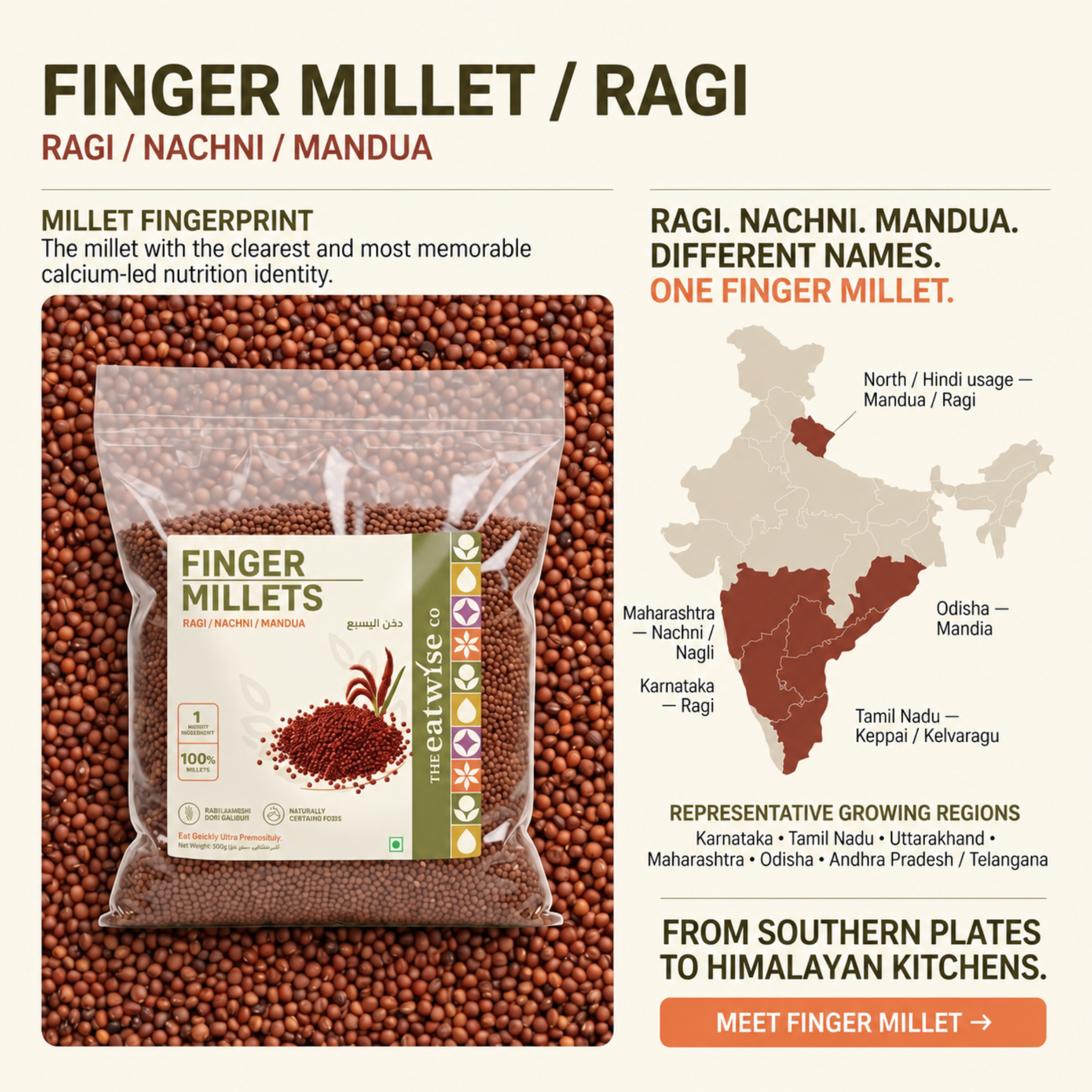Finger Millet