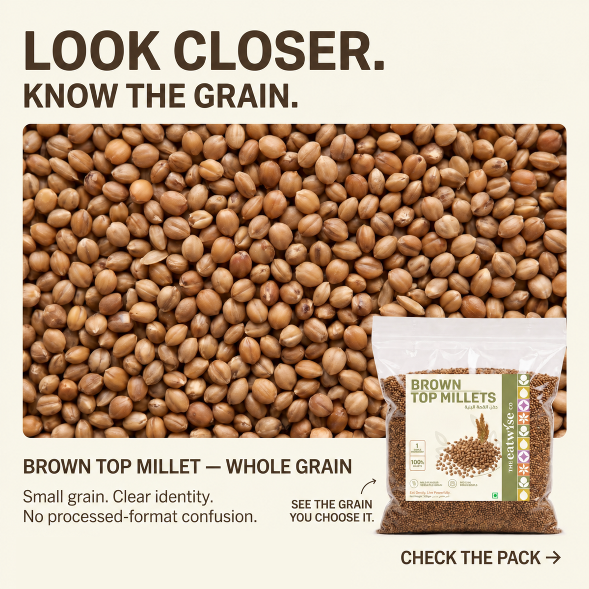 Brown Top Millet